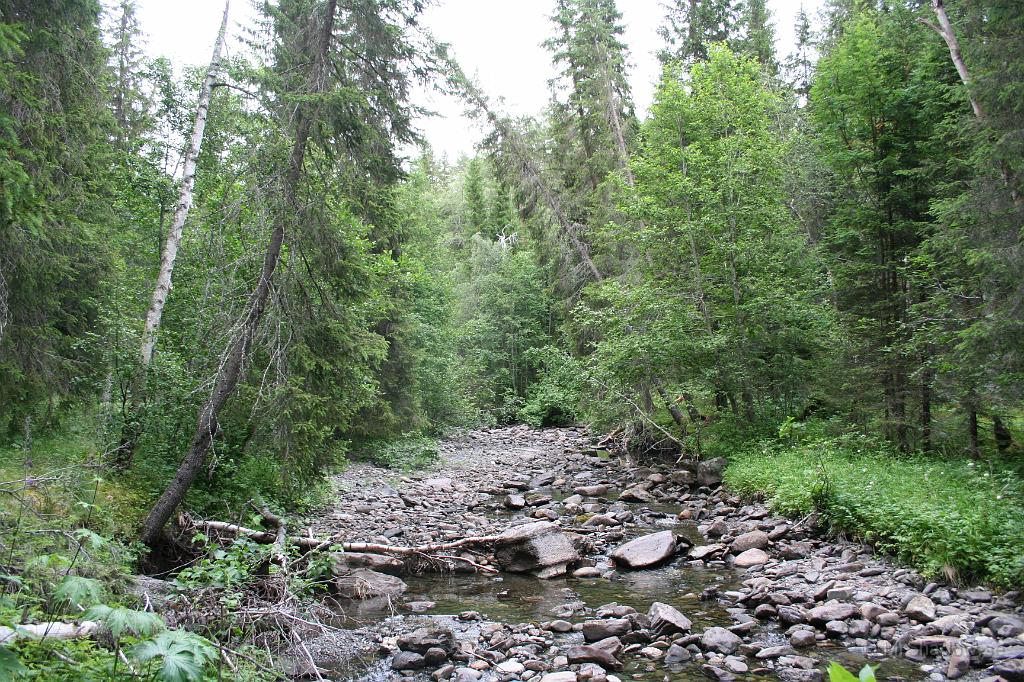 IMG_3800.JPG - 2011-07-15