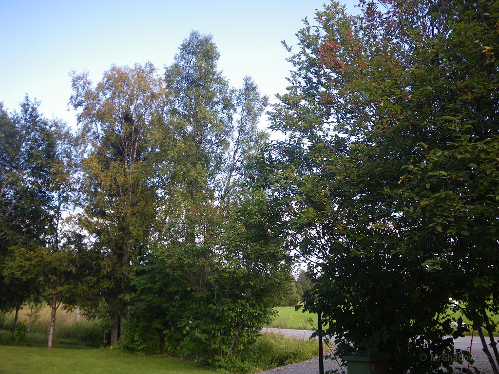 IMGP7250.JPG