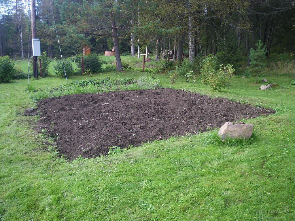 IMGP7405.JPG - Potatislandet är nu tömt och får vila till nästa sommar..