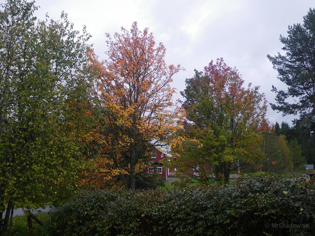 IMGP7445.JPG