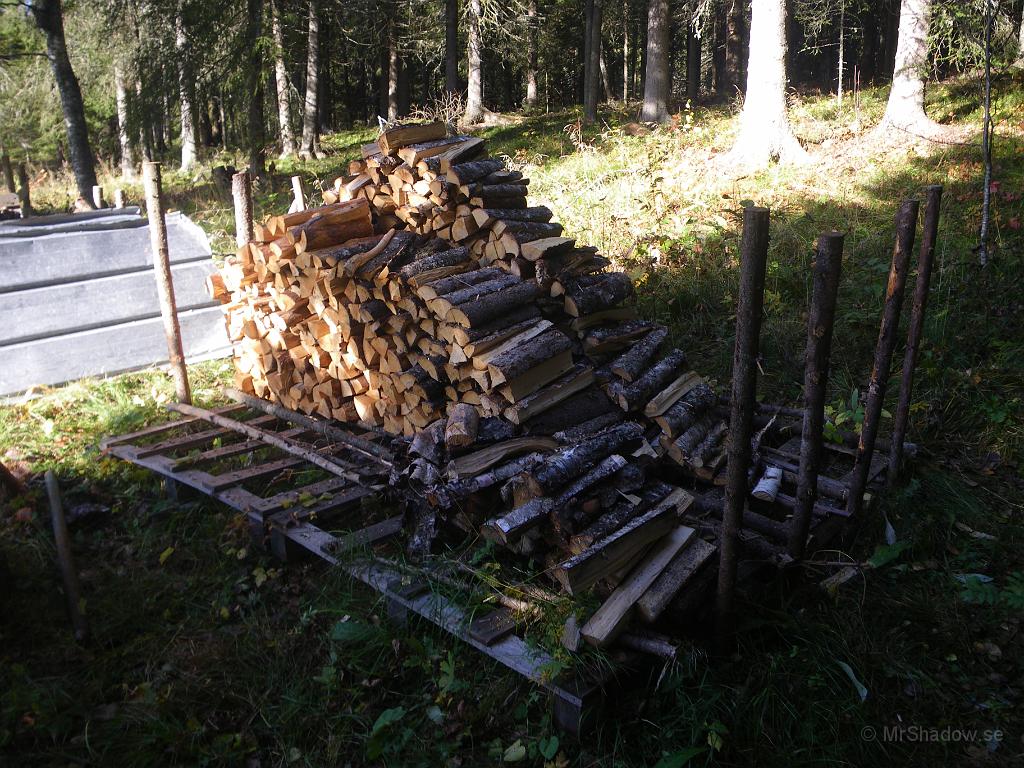 IMGP7513.JPG - Snart är all ved inburen..