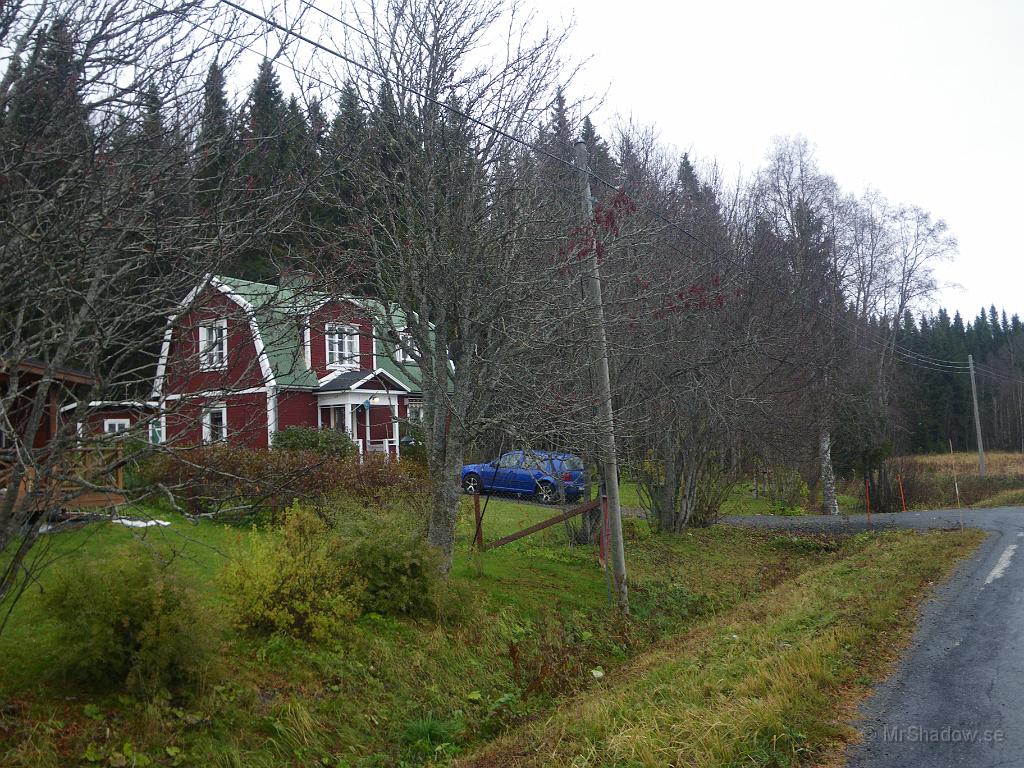 IMGP7555.JPG - 2011-10-19