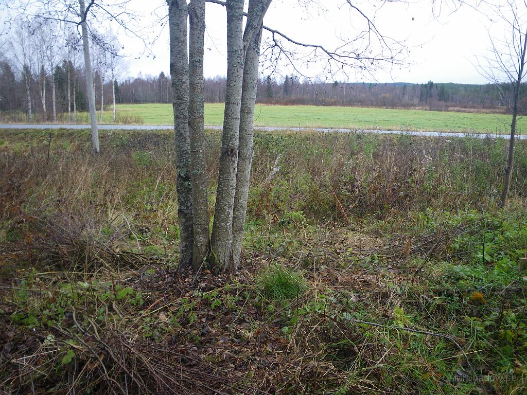 IMGP7557.JPG - Efter lite frisering så ser det genast bättre ut..