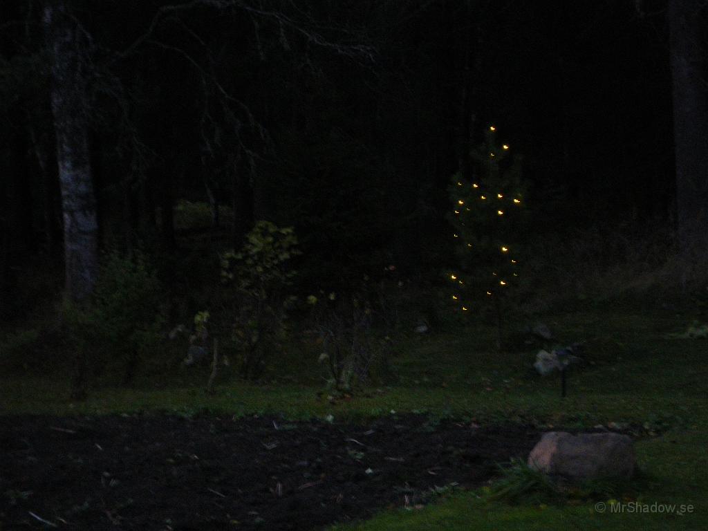 IMGP7561.JPG - Satt upp lite lyse i tallen i år också..