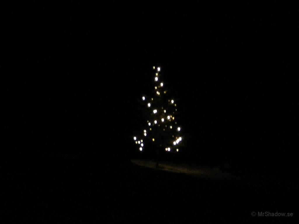 IMGP7690.JPG - 2011-11-29 Julgranen..