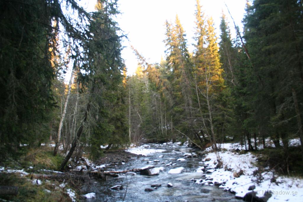 IMG_5196.JPG - Vid Åringsån är det lite mer snö och betydligt kallare..