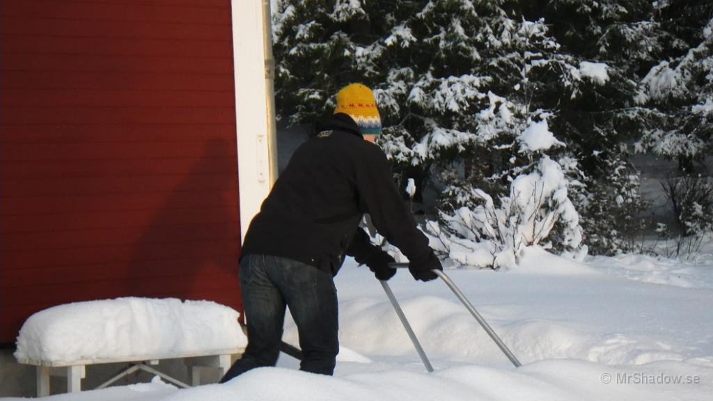IMGP0100.JPG - Men han sliter inte såå ont..