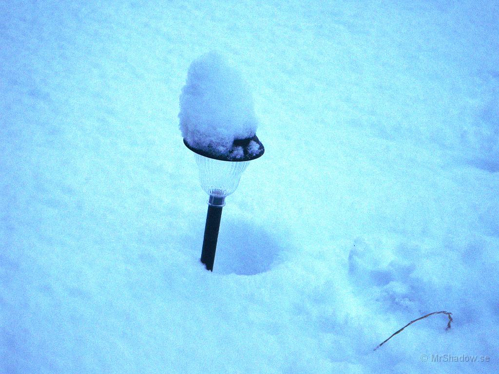 IMGP7703.JPG - Kanske dags att plocka in dessa.. De lär ju inte lysa så många sekunder..