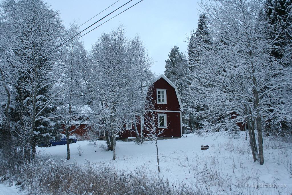 IMG_5213.JPG - Vinter