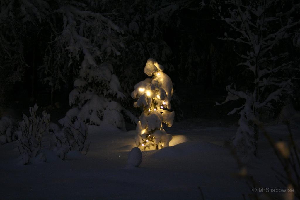 IMG_5247.JPG - Trollskt i skogen