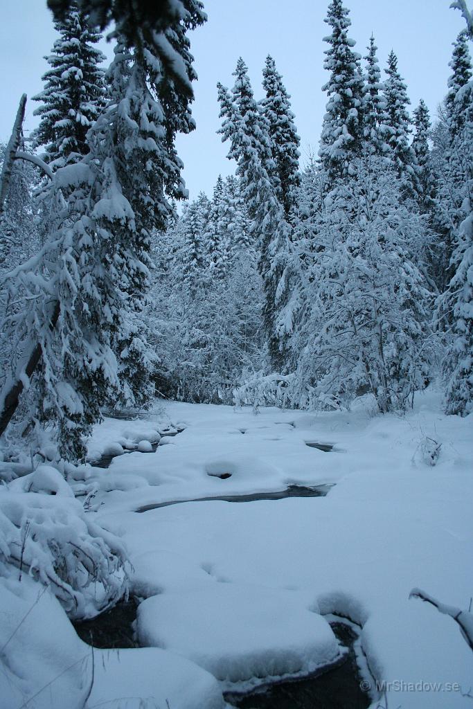 IMG_5255.JPG - Även vid "The Creek" har det ramlat ner träd i åfåran.