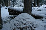 IMG_5209