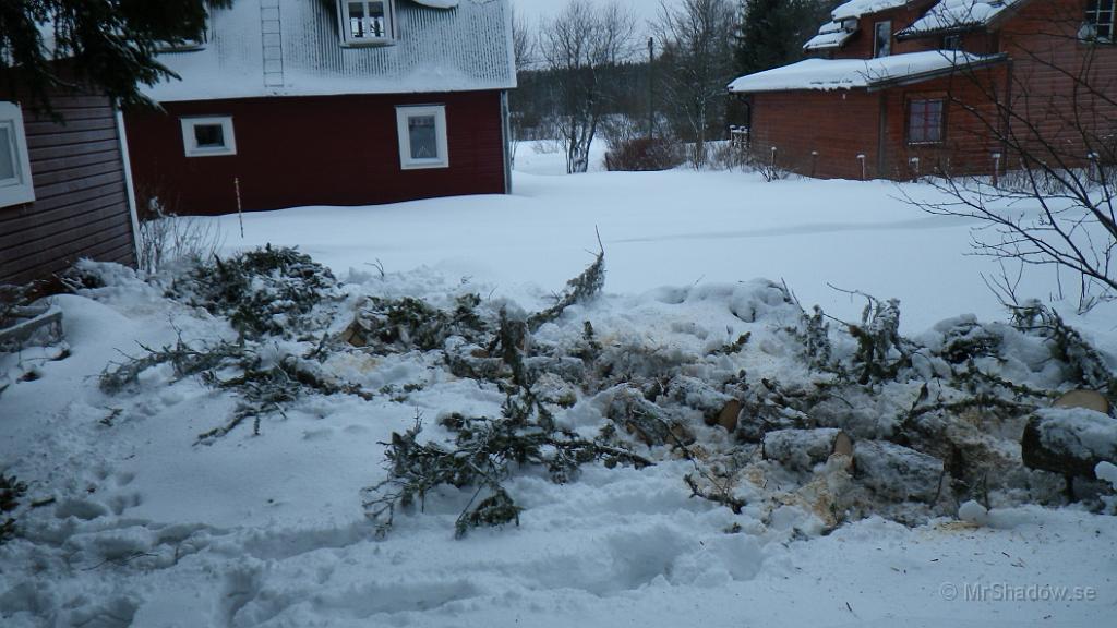 IMGP0182.JPG - En stund senare så är det mesta kvistat och uppkapat i kubb.