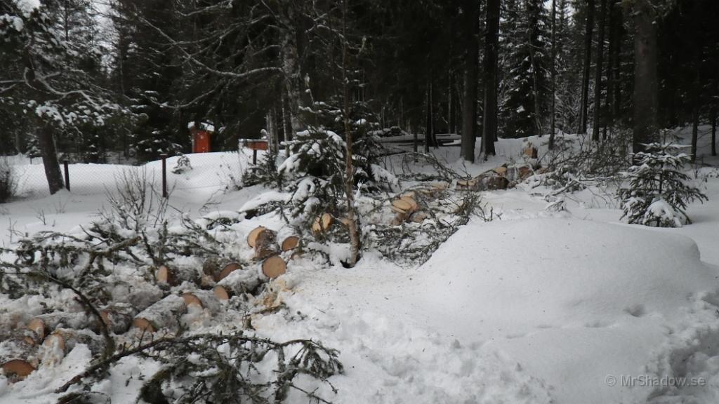 IMGP0183.JPG - Nu återstår att samla ihop kubb och ris..