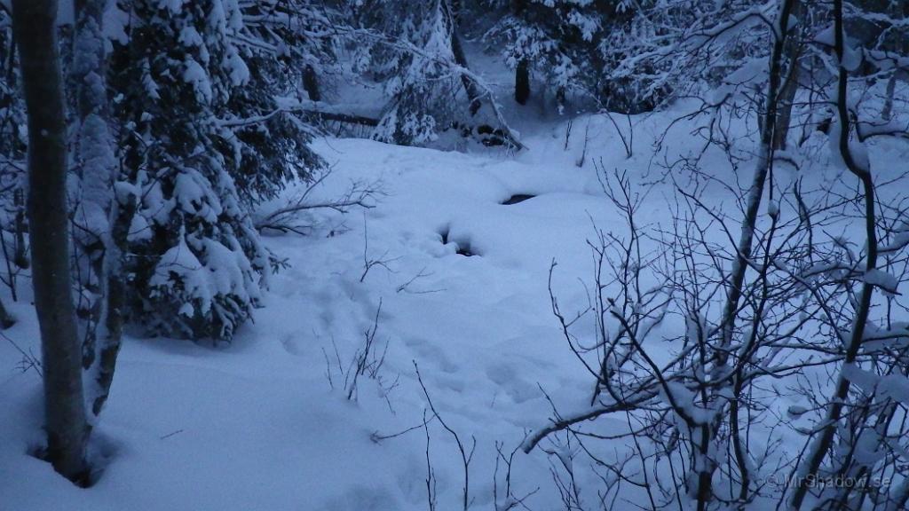 IMGP0194.JPG - Övergångstället för vilt gäller i år också