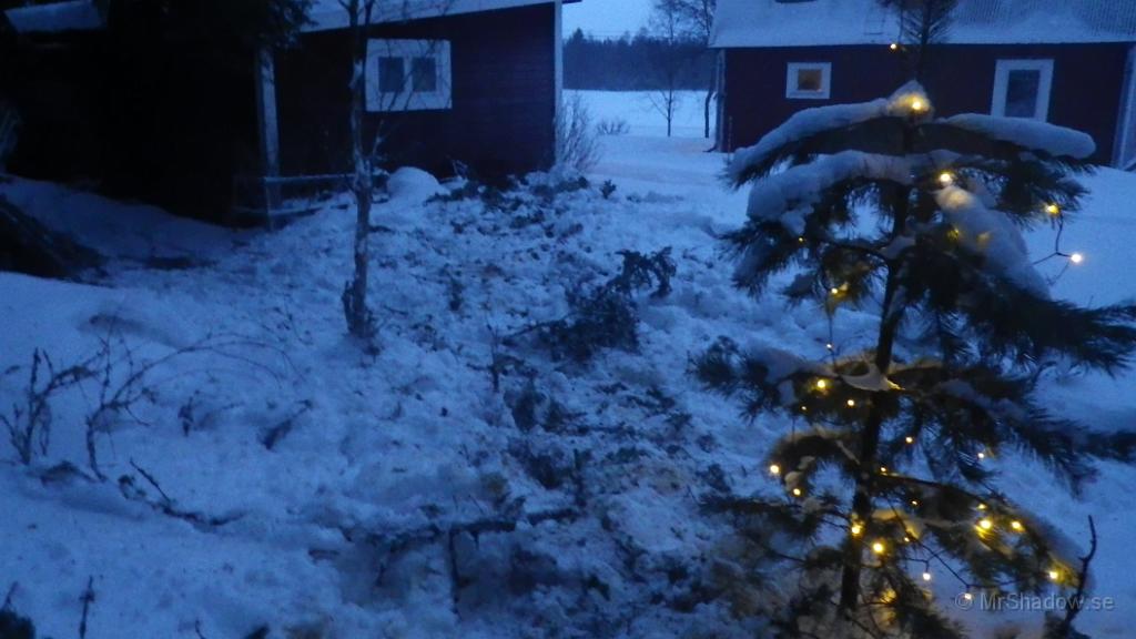 IMGP0196.JPG - Städat en del efter granen och nu får resterna vara kvar till dess att snön försvunnit.. Lite enklare att ta reda på resterna då..