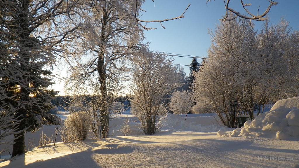IMGP0199.JPG - Solen tittar fram och det är vackert ute..