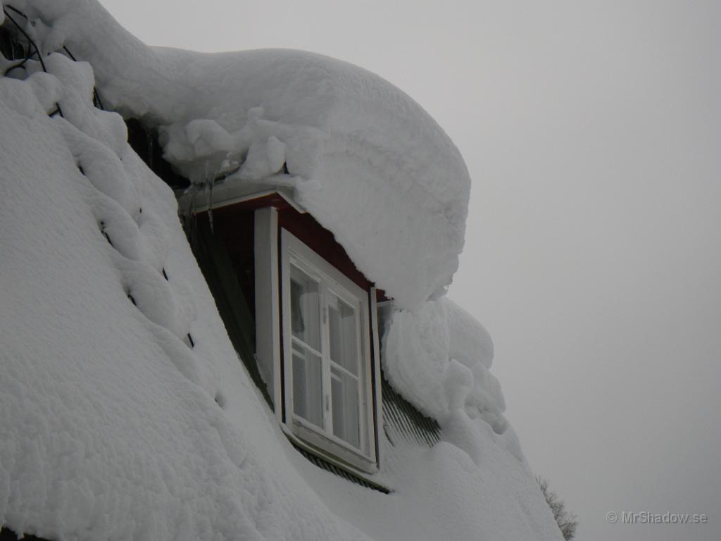 IMGP0303.JPG - Ser lite häftigt ut när det hänger ner mot fönstret 
