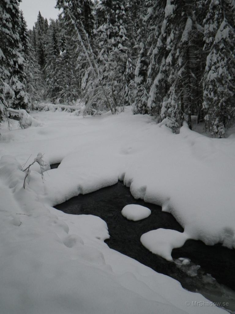 IMGP0314.JPG - Mitten på januari och fortfarande är det lite öppet vatten i Åringsån