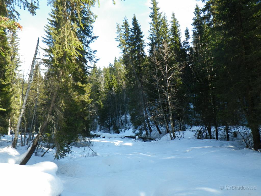 IMGP0419.JPG - Inte hänt så mycket än, men snart så är det full fart på vattnet.