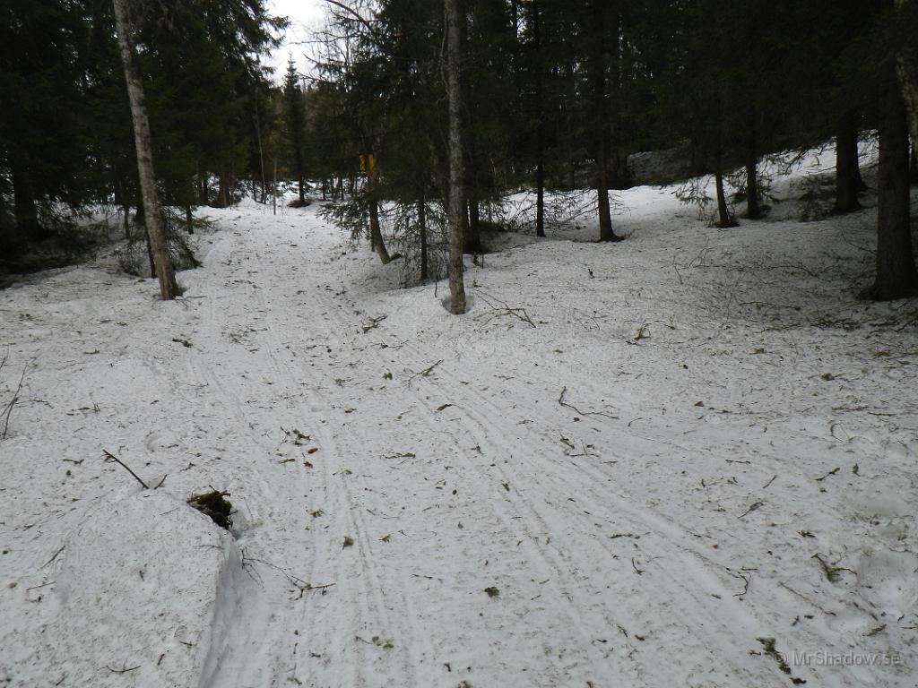 IMGP0498.JPG - Det är lite snö kvar i surdiket intill gamla kraftledningsgatan. Men snart måste man nog dit förr att dika ur igen.. Bättre i god tid så att inte myggen hinner få fäste...