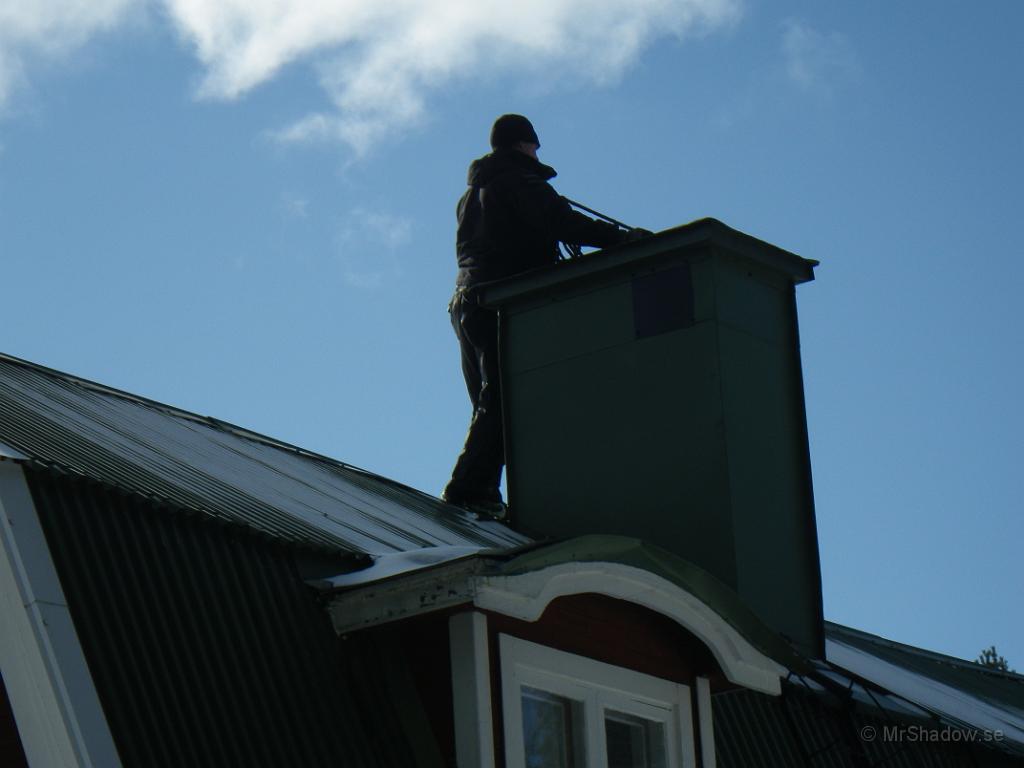 IMGP0516.JPG - Trevlig kille men kanske inte så kul att surra när husägarn är ordentligt förkyld.