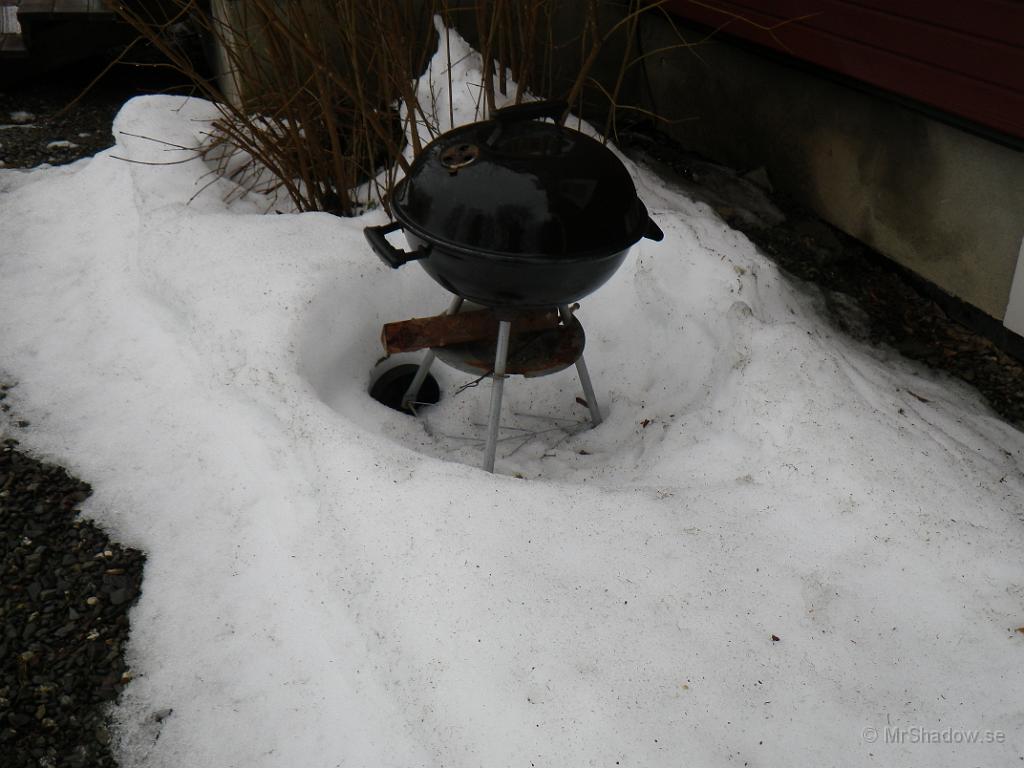 IMGP0518.JPG - Grillen är fortfarande fastfrusen.. ännu...