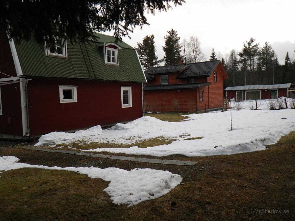 IMGP0552.JPG - På gräsmattan är det fortfarande en del snö och is kvar..