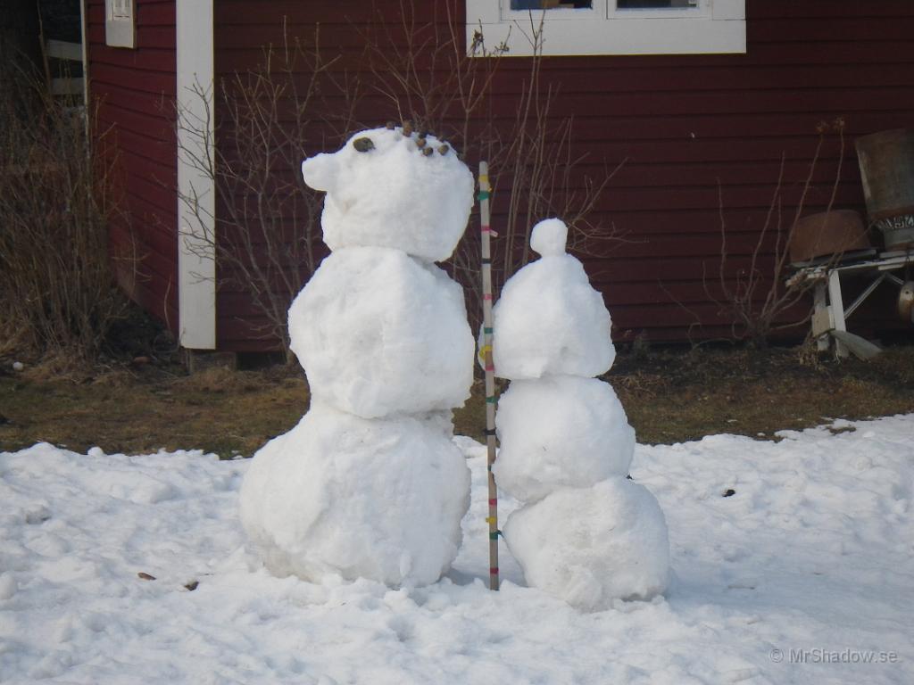 IMGP0627.JPG - Snögubbarna står kvar efter barnbarnens vissit