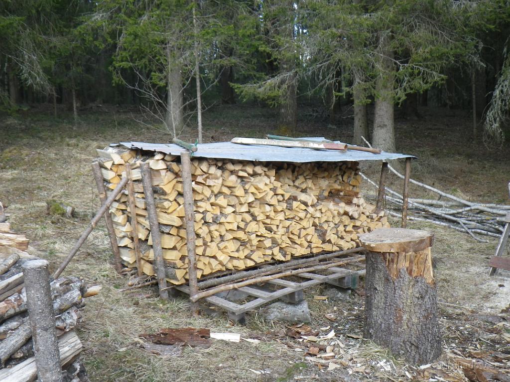 IMGP0681.JPG - Vedtraven växer och veden värmer ;-)