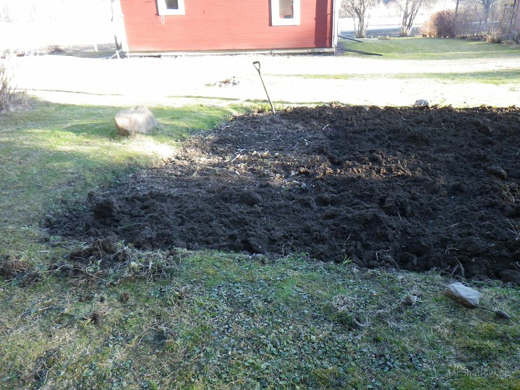 IMGP0701.JPG - Bara några kvadrat kvar att vända på...
