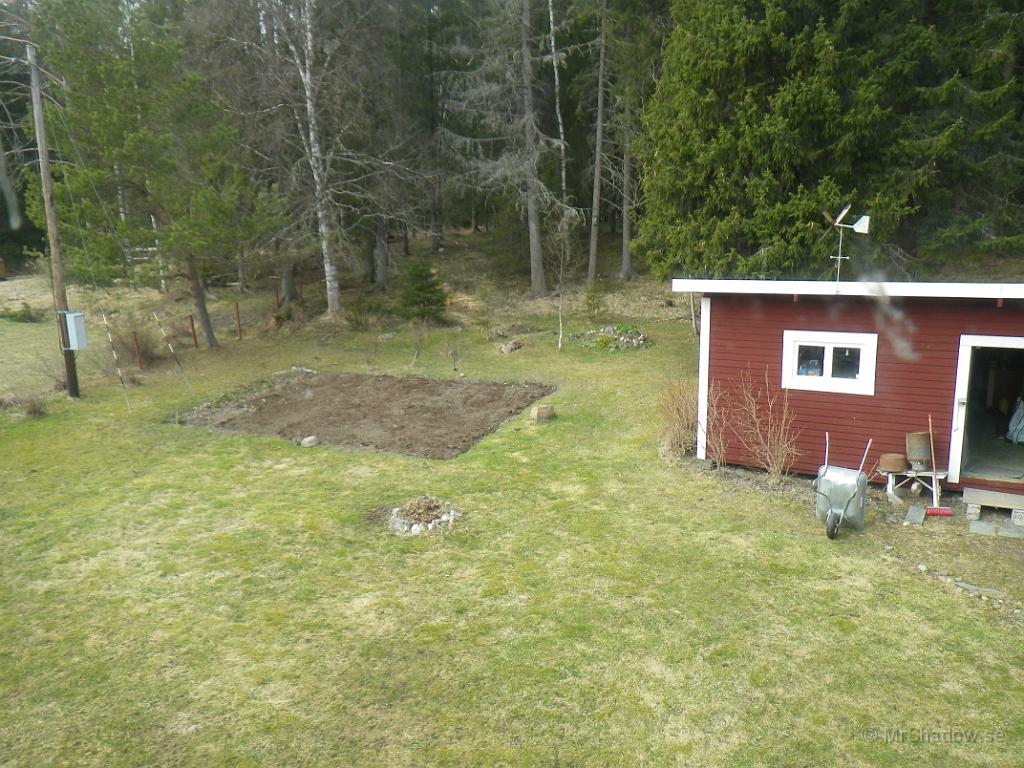 IMGP0703.JPG - Snart är det grönt och fint..