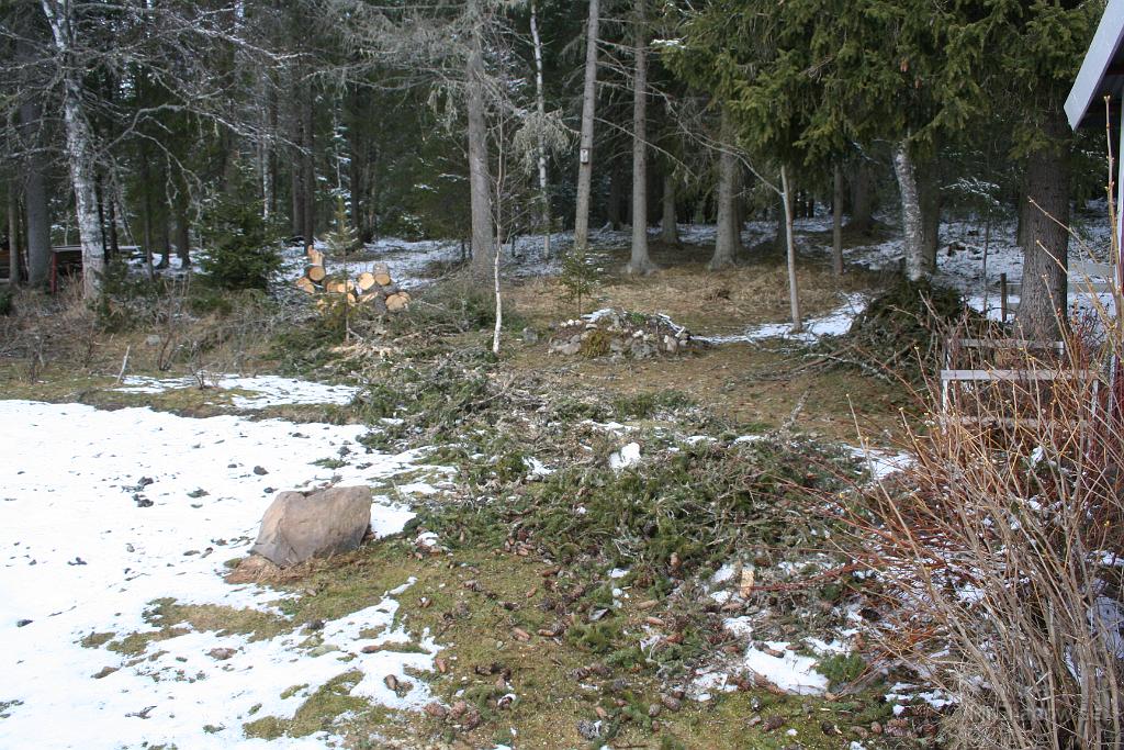 IMG_5496.JPG - Resterna efter Dagmar.. nu börjar det gå att städa upp. Det ser lite risigt ut annars.