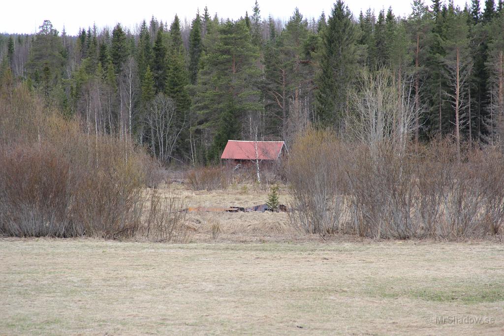 IMG_0030.JPG - Det börjar spritta lite i grönt vid diket bortom ängen.