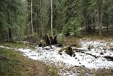 IMG_0016