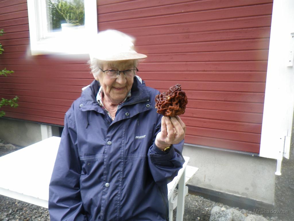 IMGP0885.JPG - Farmor var iväg och tog reda på lite murklor som växte efter skoterspåret..