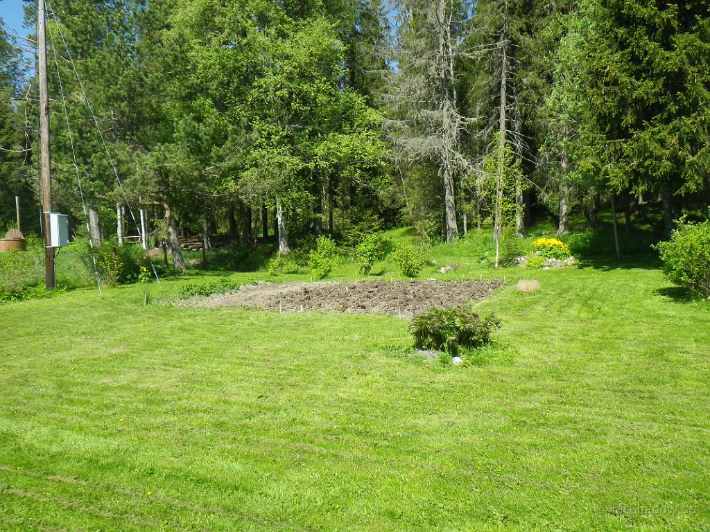 IMGP0888.JPG - 2012-06-10  Det ser ju fint ut