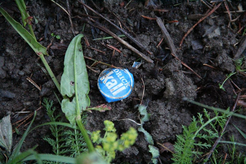 IMG_0867.JPG - Inte en blomma direkt, utan snarare ett "arkeologiskt" fynd. Kapsyl till en läskflaska från 70-talet