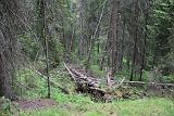 IMG_0871