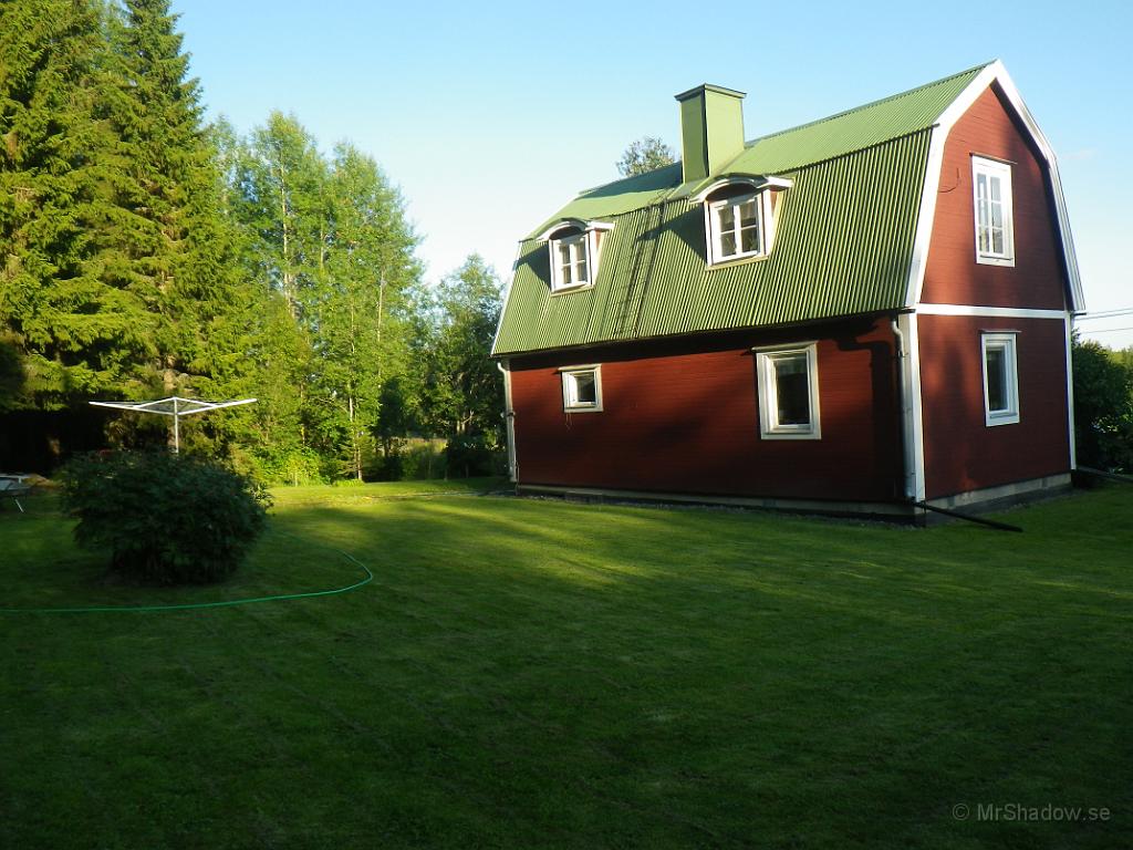 IMGP1351.JPG - Kvällssol.
