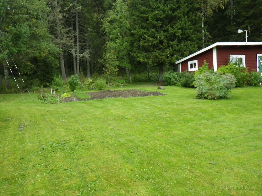 IMGP1426.JPG - Ser lite trist ut i trädgårdslandet när potatisblasten tagits bort..
