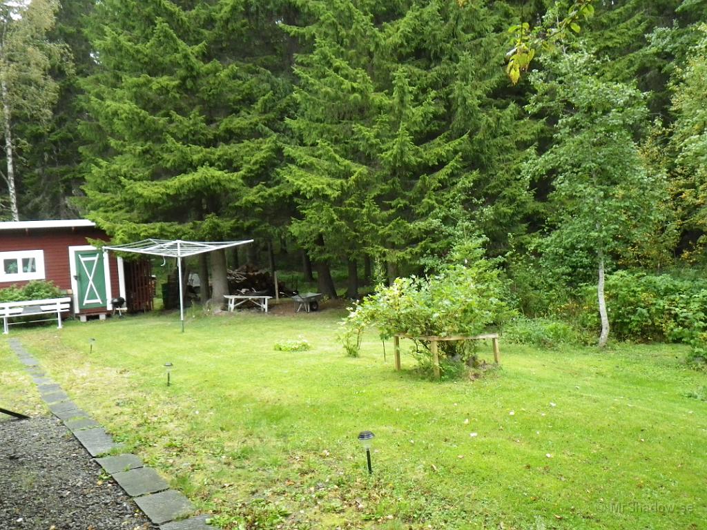 IMGP1428.JPG - Måste nog ta ett krafttag med grusgången nästa vår..