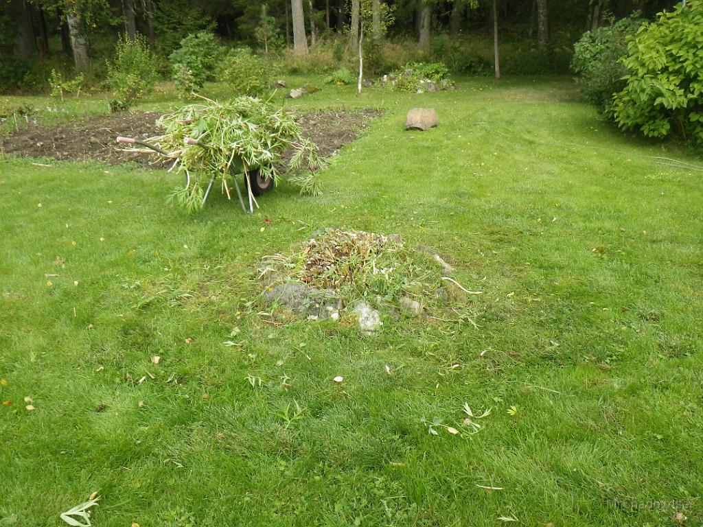 IMGP1445.JPG - .... förmultningsbart att skjutsa till komposten.