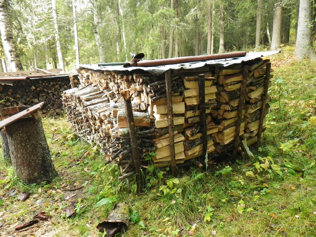 IMGP1526.JPG - Veden som legat ute på tork, skall nu bäras in.