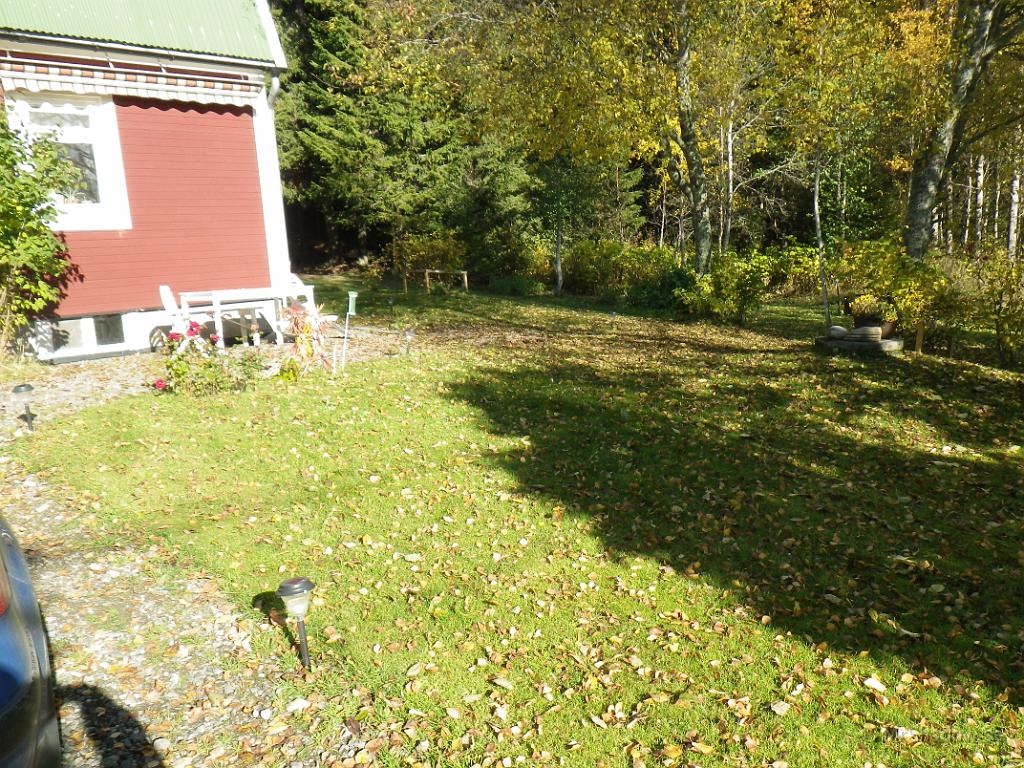 IMGP1533.JPG - Lövtäcket på gräsmattan har också blivit lite tjockare, snart dags att räfsa ihop kanske...
