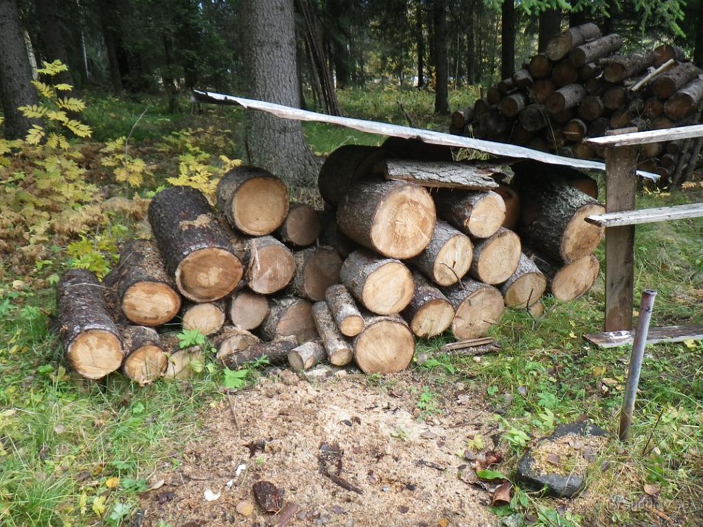 IMGP1538.JPG - Det finns ju lite okluven granved också som är "bra att ha"...