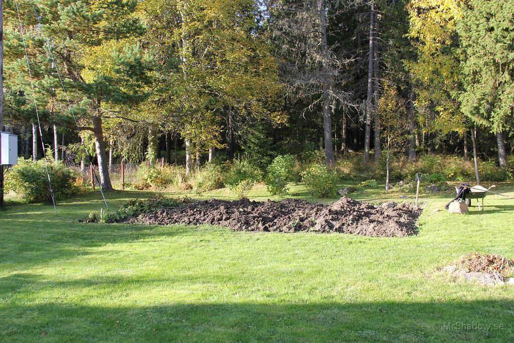 IMG_2793.JPG - Efter det att potatisen tagits upp så vändes hela potatislandet.. Men det blir nog ingen potatis just där nästa år... Tråkigt men så är det ibland..