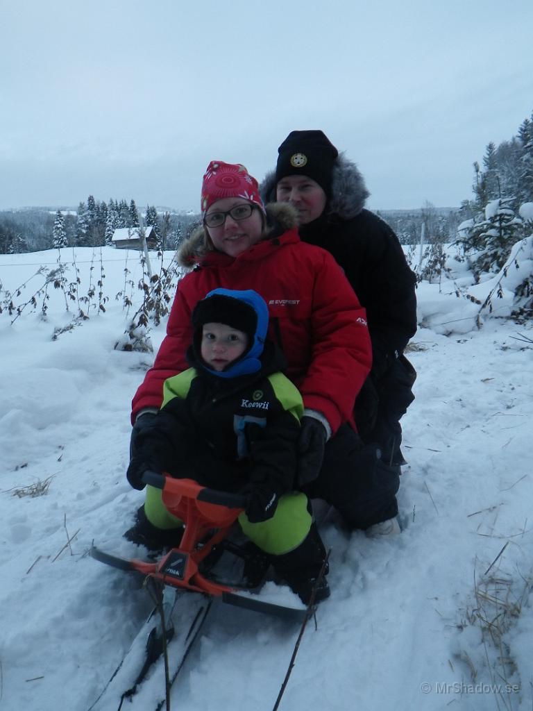 IMGP1839.JPG - Sedan kan man ju åka kjälke också. Hela familjen.