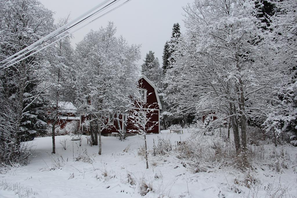 IMG_2948.JPG - Inte ens den röda färgen på huset orkar lysa igenom. Nu är det vinter..