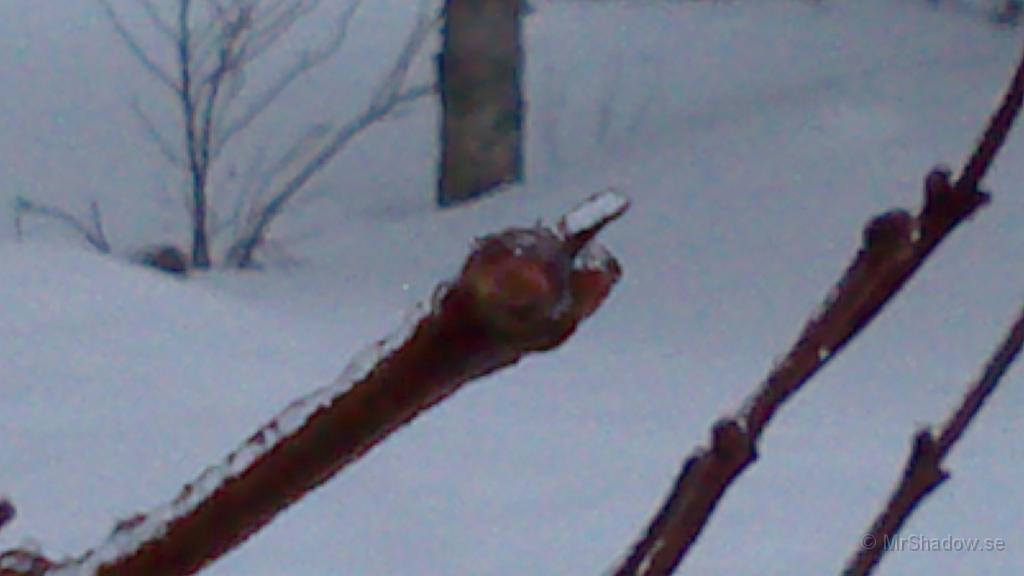 DSC_0138.jpg